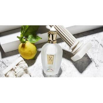 XJ 1861 Renaissance EDP